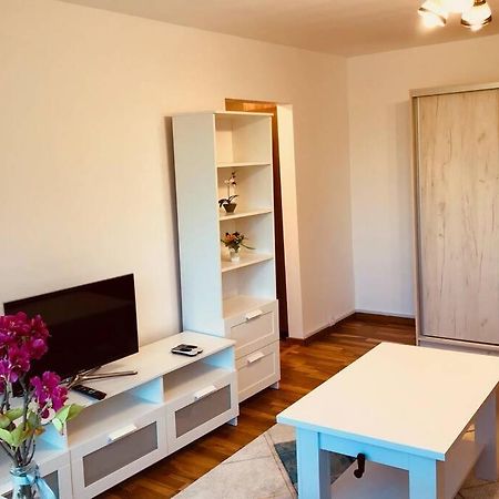 Joy City Stay Iasi 15 티미쇼아라 외부 사진